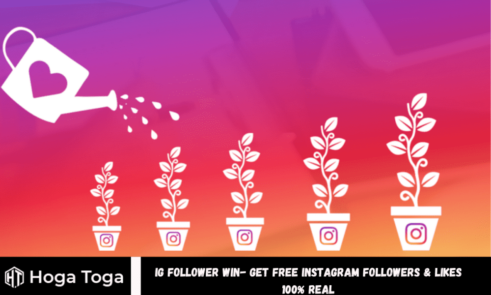 Ig Follower Win