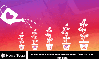 Ig Follower Win