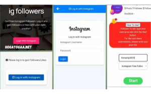 Login To Ig Follower Win Website
